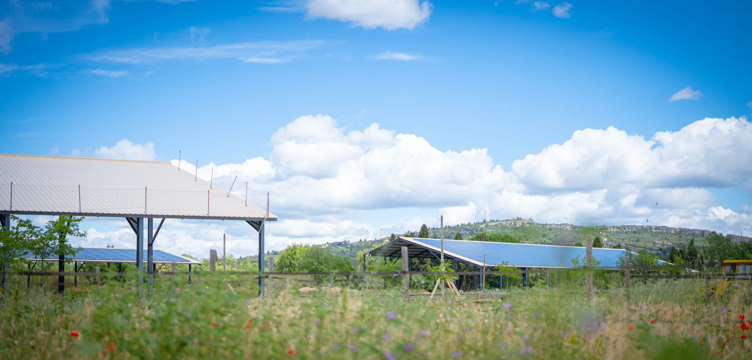 COLINA-INTER02-2-scaled